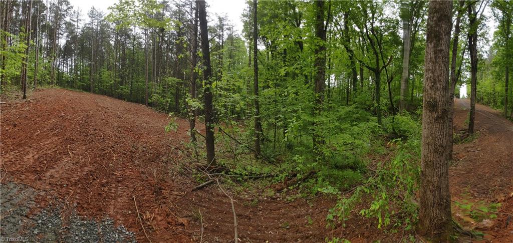 0 Roy Tuttle Road Pinnacle, NC 27043 - Photo 1 of 14
