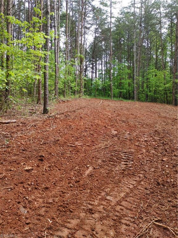 0 Roy Tuttle Road Pinnacle, NC 27043 - Photo 2 of 14