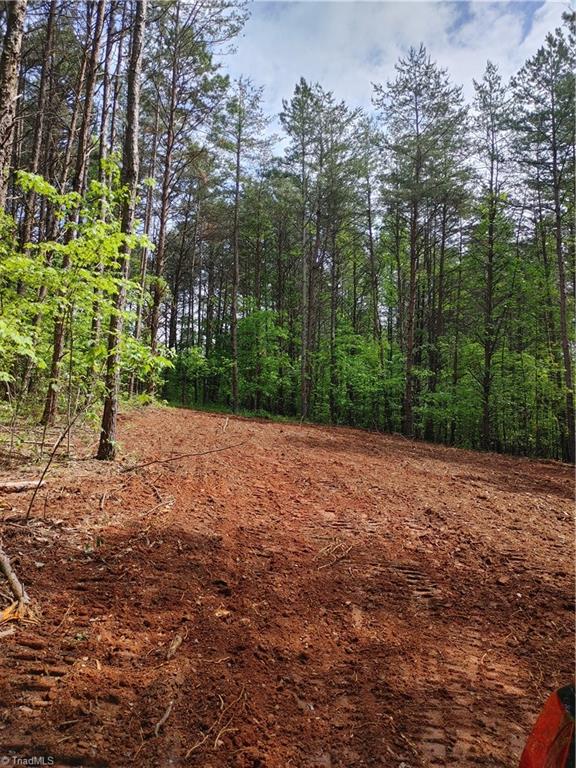 0 Roy Tuttle Road Pinnacle, NC 27043 - Photo 11 of 14