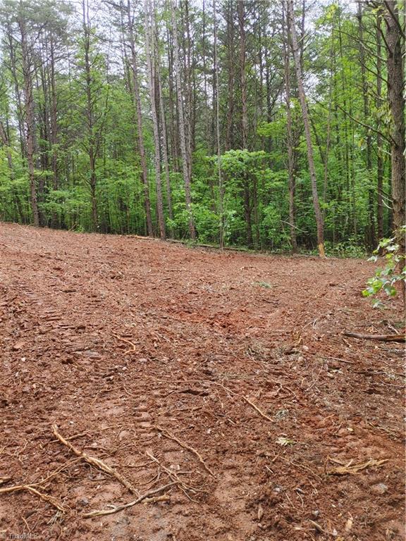 0 Roy Tuttle Road Pinnacle, NC 27043 - Photo 3 of 14