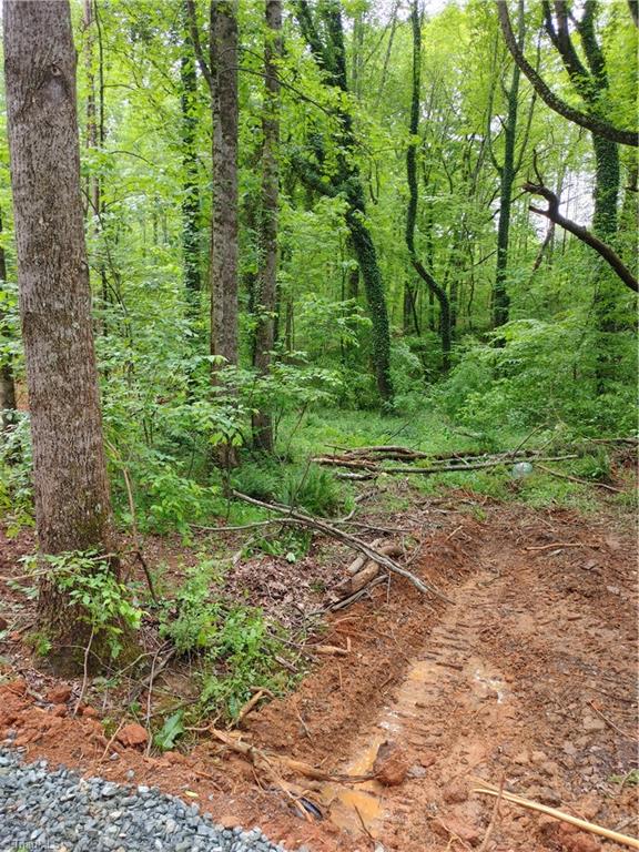 0 Roy Tuttle Road Pinnacle, NC 27043 - Photo 4 of 14