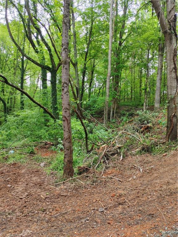 0 Roy Tuttle Road Pinnacle, NC 27043 - Photo 5 of 14