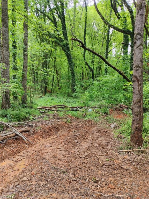 0 Roy Tuttle Road Pinnacle, NC 27043 - Photo 6 of 14