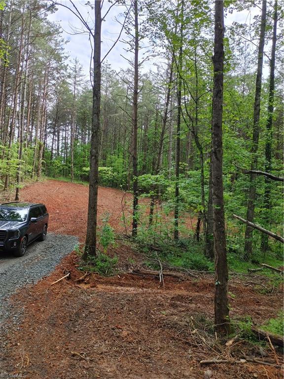 0 Roy Tuttle Road Pinnacle, NC 27043 - Photo 7 of 14