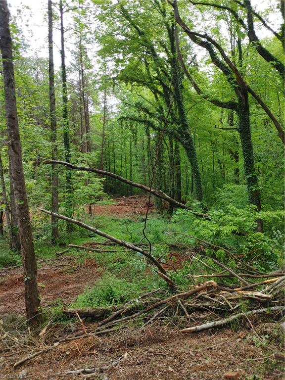 0 Roy Tuttle Road Pinnacle, NC 27043 - Photo 8 of 14