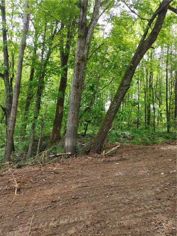 0 Roy Tuttle Road Pinnacle, NC 27043 - Photo 9 of 14