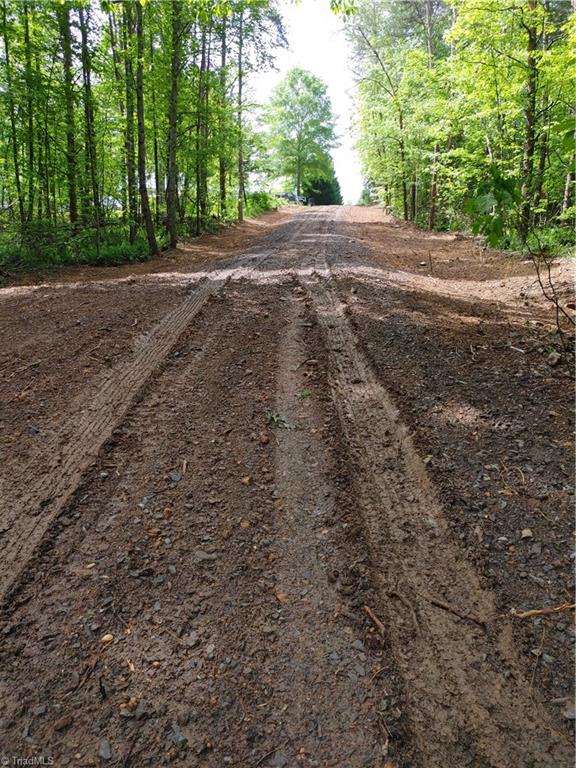 0 Roy Tuttle Road Pinnacle, NC 27043 - Photo 10 of 14