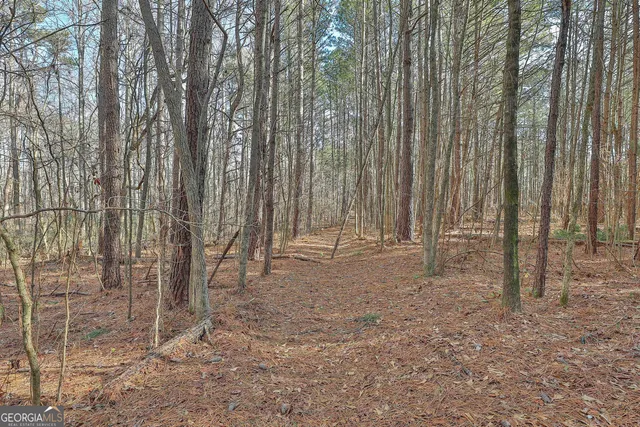 $550,000 | 1870 Highway 92, Fayetteville, GA 30214