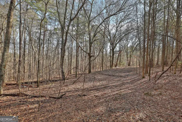 $550,000 | 1870 Highway 92, Fayetteville, GA 30214