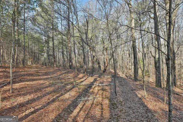 $550,000 | 1870 Highway 92, Fayetteville, GA 30214