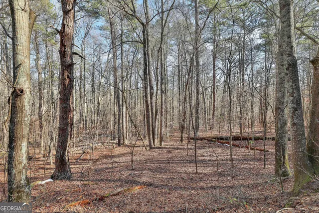 $550,000 | 1870 Highway 92, Fayetteville, GA 30214