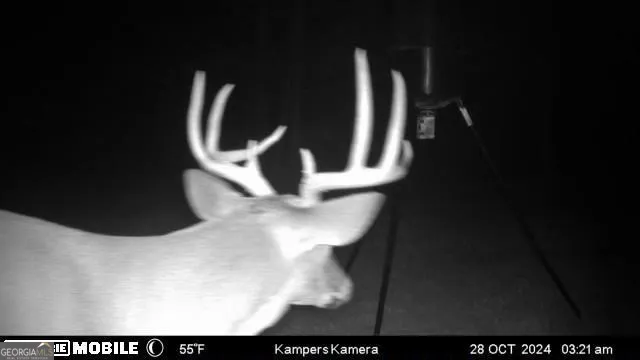 $550,000 | 1870 Highway 92, Fayetteville, GA 30214