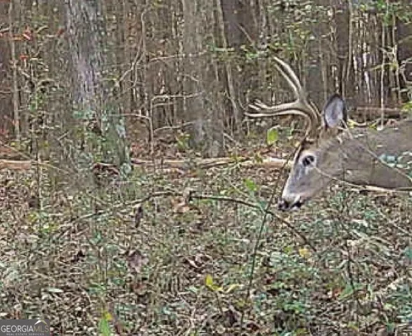 $550,000 | 1870 Highway 92, Fayetteville, GA 30214