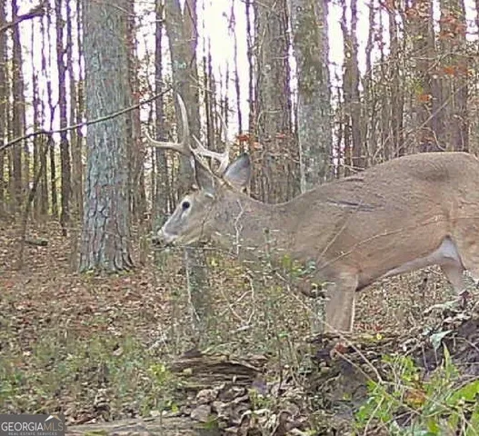 $550,000 | 1870 Highway 92, Fayetteville, GA 30214