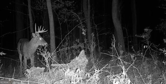 $550,000 | 1870 Highway 92, Fayetteville, GA 30214