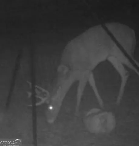 $550,000 | 1870 Highway 92, Fayetteville, GA 30214