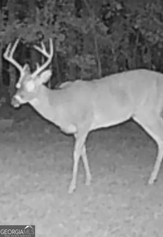 $550,000 | 1870 Highway 92, Fayetteville, GA 30214