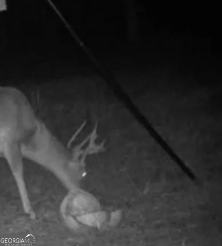 $550,000 | 1870 Highway 92, Fayetteville, GA 30214