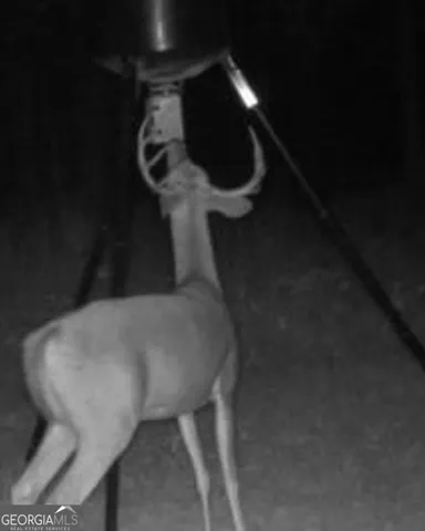 $550,000 | 1870 Highway 92, Fayetteville, GA 30214