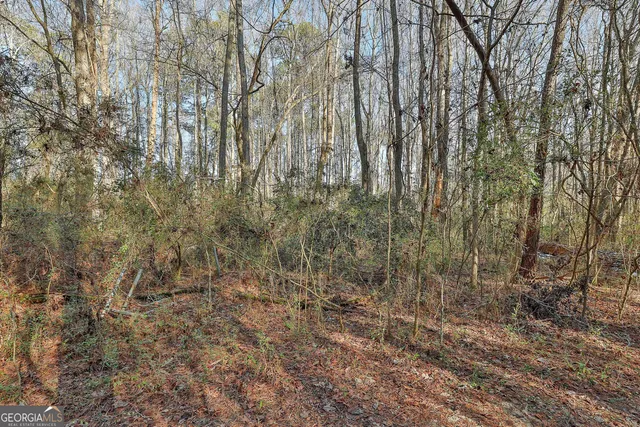 $550,000 | 1870 Highway 92, Fayetteville, GA 30214