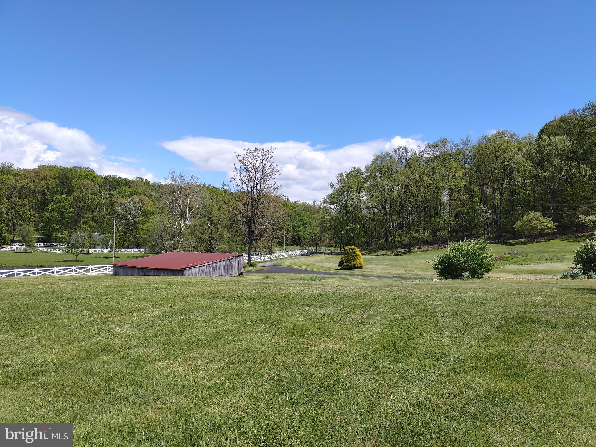 980 Marple Road Winchester, VA 22603 - Photo 23 of 76 Front yard with view