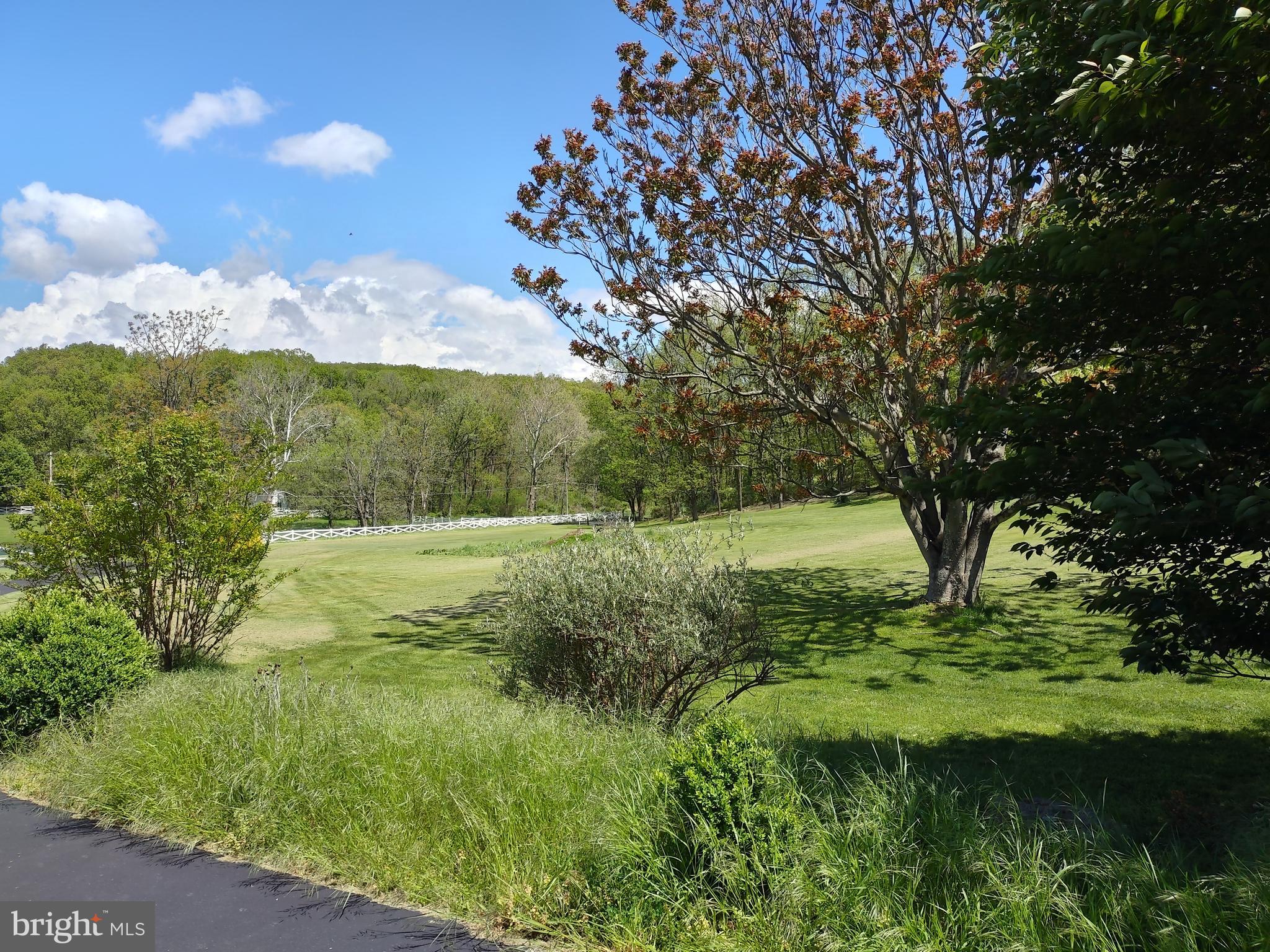 980 Marple Road Winchester, VA 22603 - Photo 25 of 76 Front yard with view