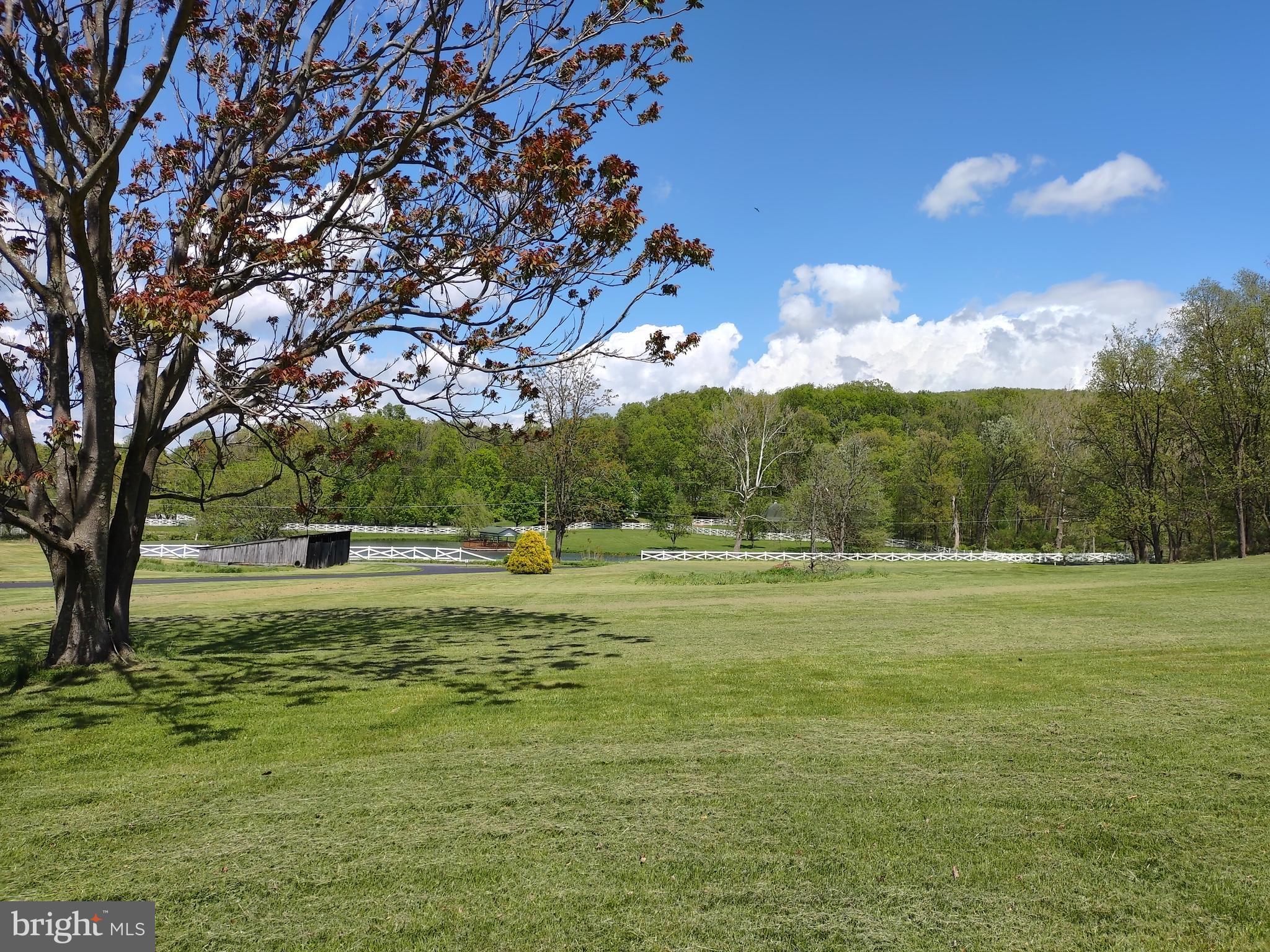980 Marple Road Winchester, VA 22603 - Photo 29 of 76 Views
