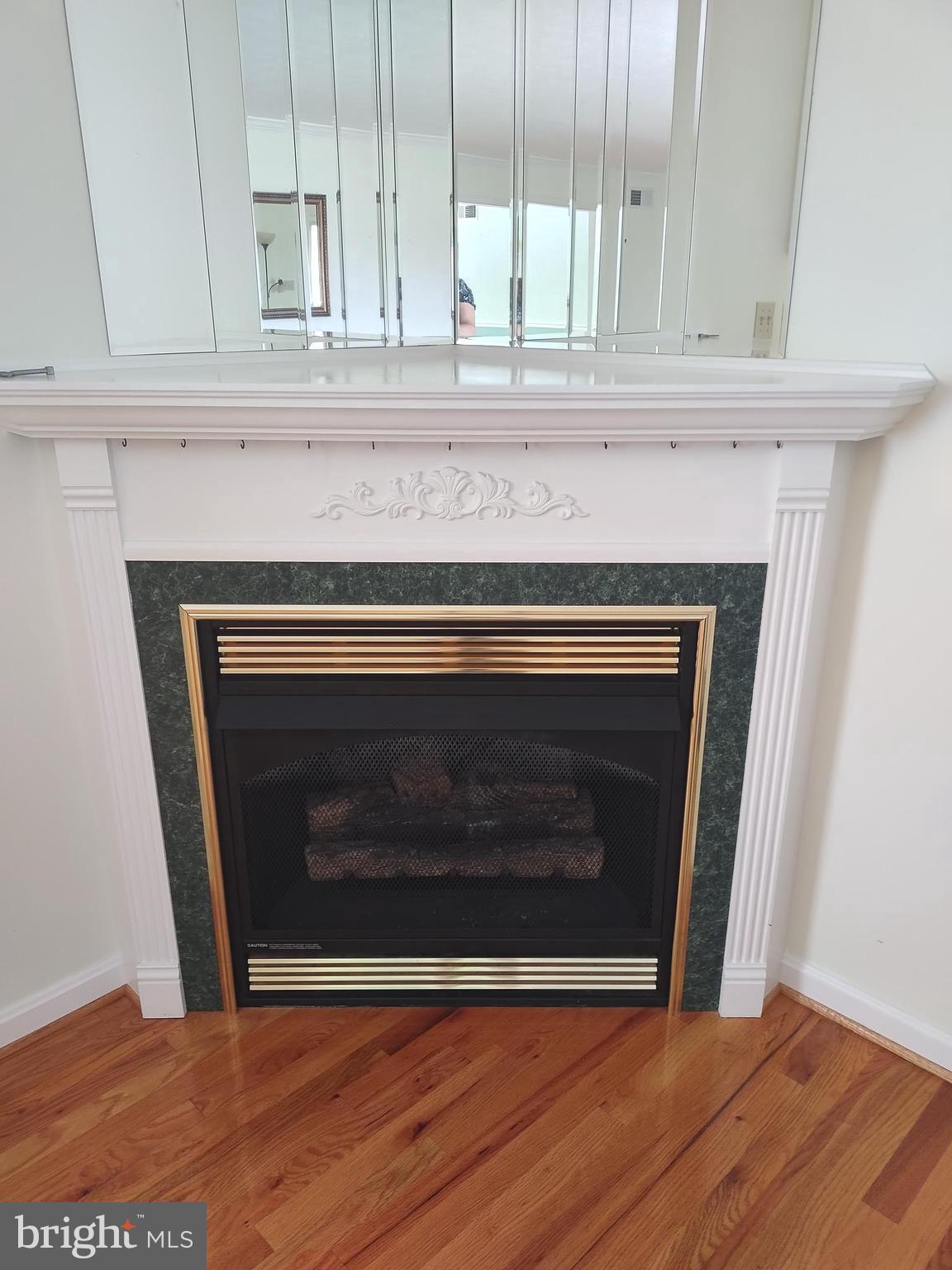 980 Marple Road Winchester, VA 22603 - Photo 43 of 76 Living Room Gas Fireplace