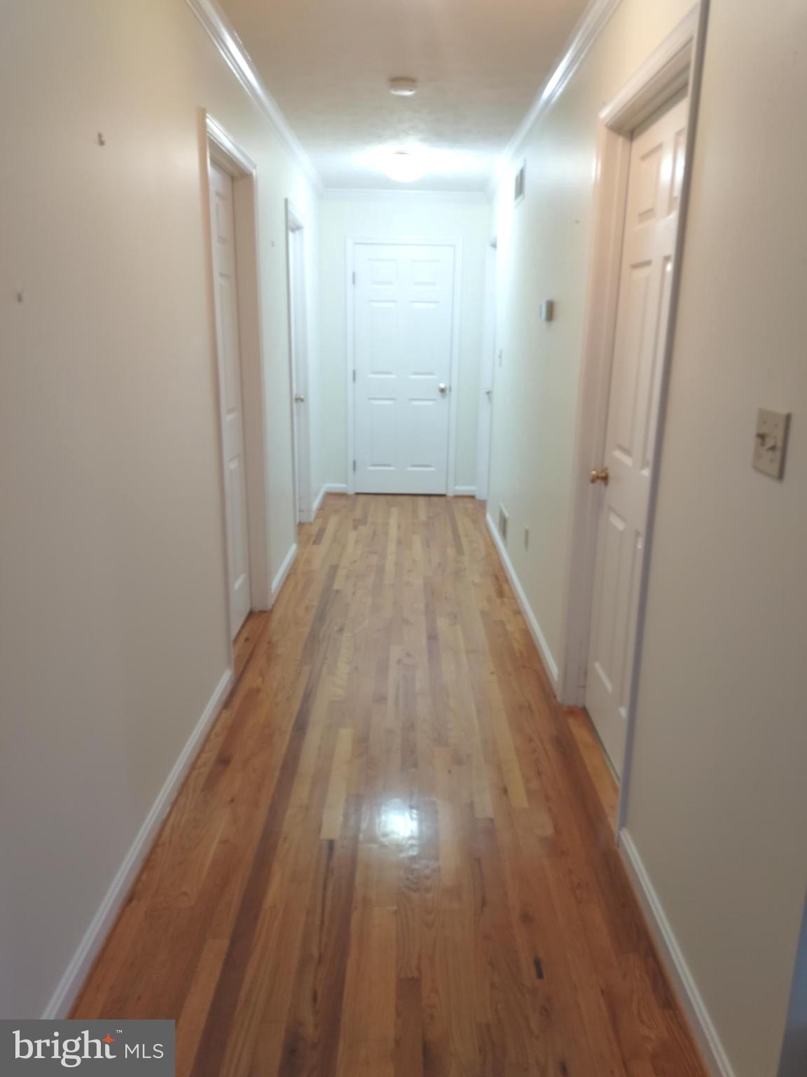 980 Marple Road Winchester, VA 22603 - Photo 44 of 76 Extra Wide Hallway