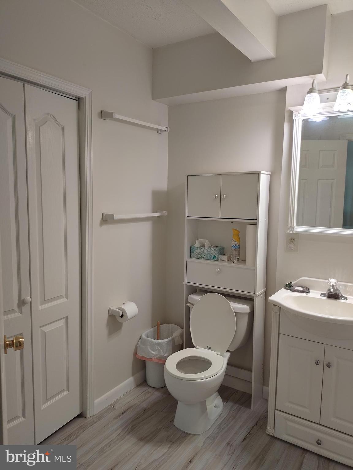 980 Marple Road Winchester, VA 22603 - Photo 63 of 76 Suite Bathroom