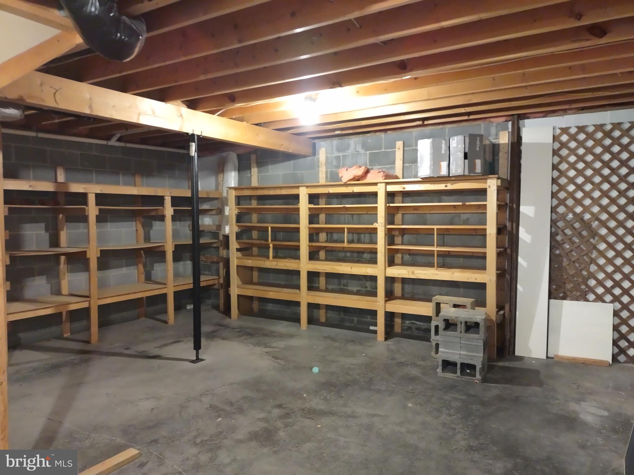 980 Marple Road Winchester, VA 22603 - Photo 67 of 76 Unfinished Basement Shelving