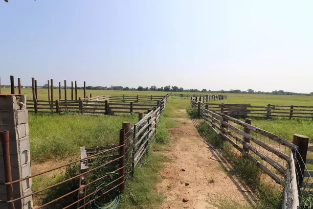 a house view with swimming pool in front of it