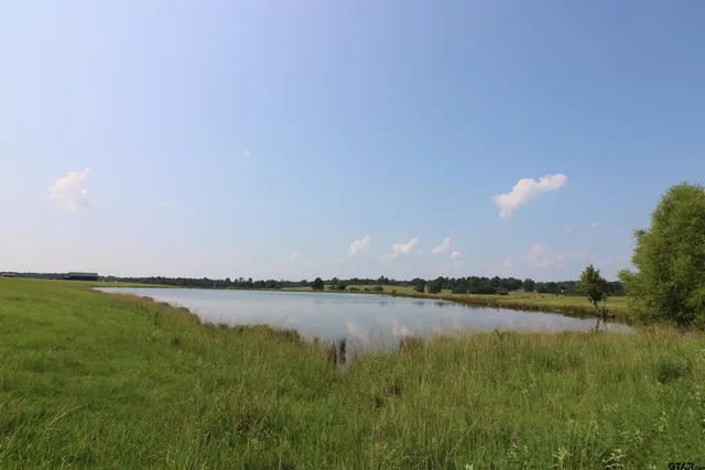 $999,000 | 14702 State Highway 155, Ore City, TX 75683