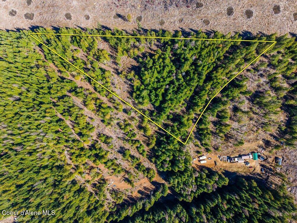 462 East E Ridge St. Maries, ID 83861 - Photo 3 of 11 003_bb193565-3_772