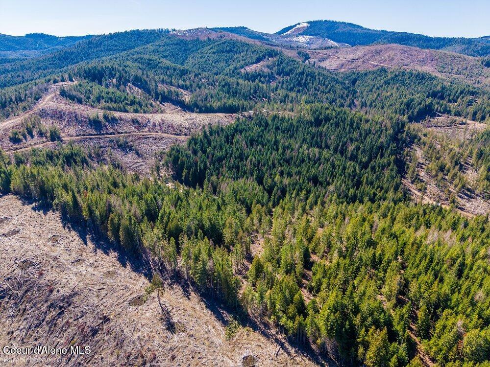 462 East E Ridge St. Maries, ID 83861 - Photo 4 of 11 005_bb193565-5_57