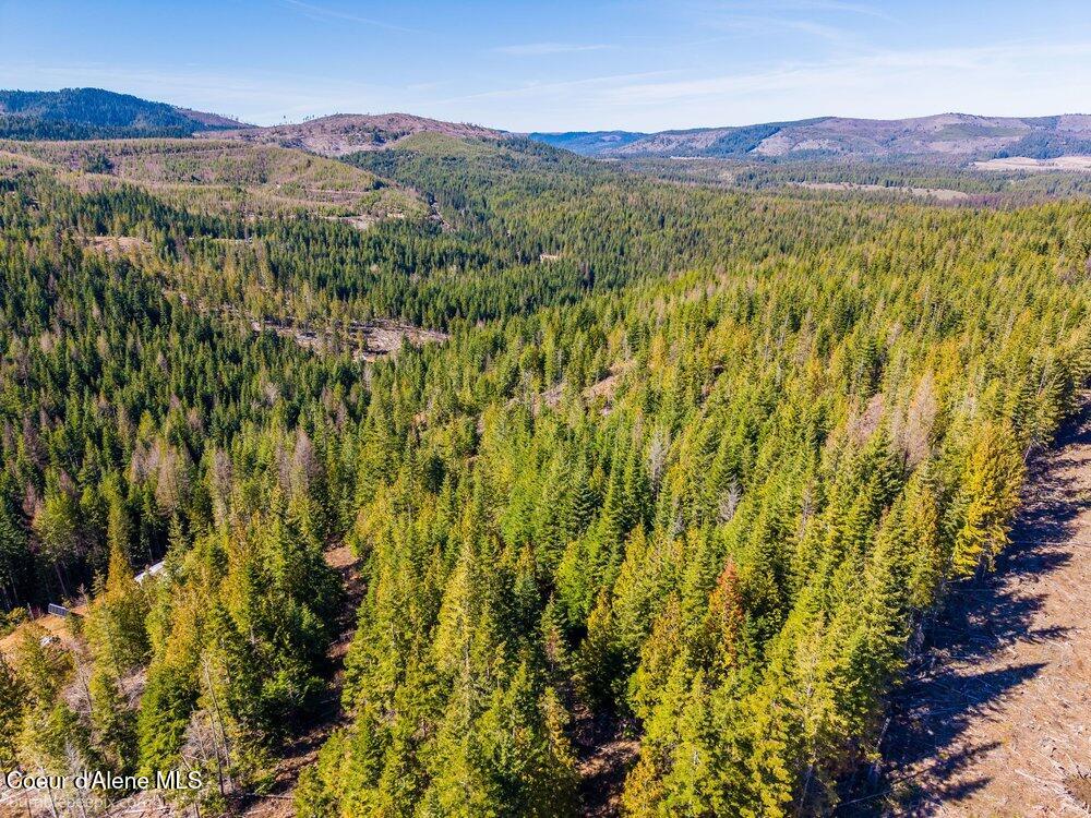 462 East E Ridge St. Maries, ID 83861 - Photo 5 of 11 008_bb193565-8_129