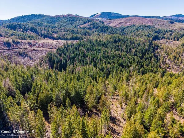 $120,000 | 462 East E Ridge, St. Maries, ID 83861