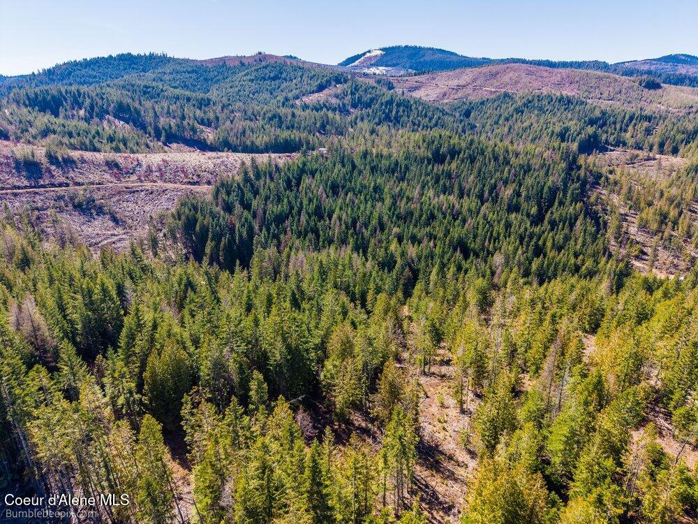 462 East E Ridge St. Maries, ID 83861 - Photo 7 of 11 010_bb193565-10_762