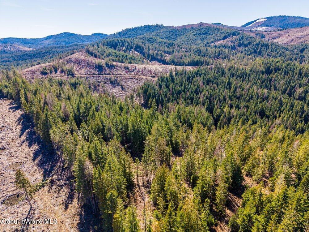 462 East E Ridge St. Maries, ID 83861 - Photo 8 of 11 011_bb193565-11_454