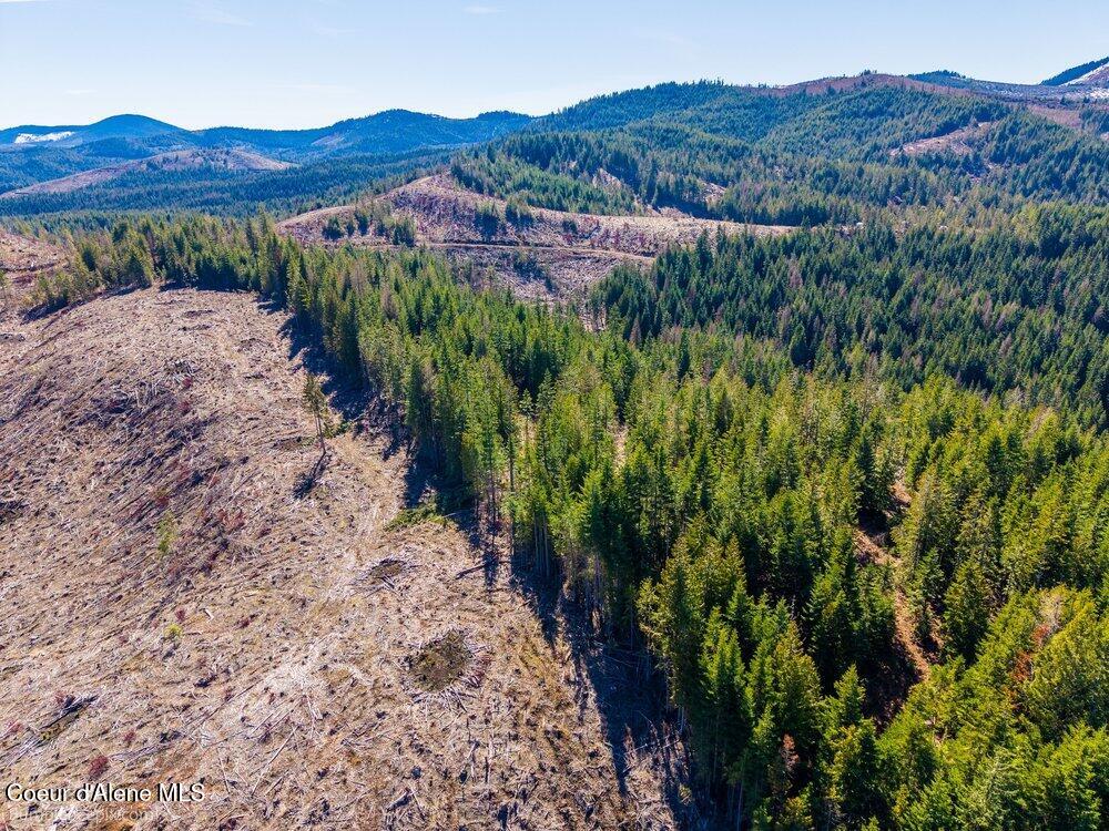 462 East E Ridge St. Maries, ID 83861 - Photo 9 of 11 012_bb193565-12_342