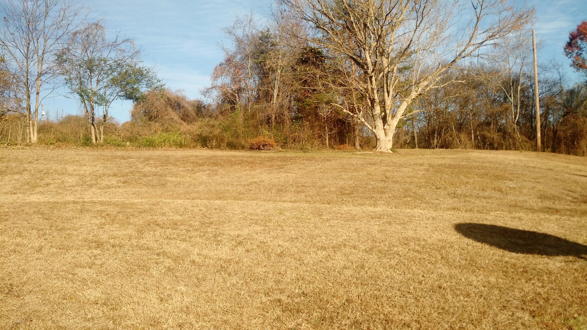 2122 Neubert Road Knoxville, TN 37914 - Photo 17 of 17 Gallery Image 17