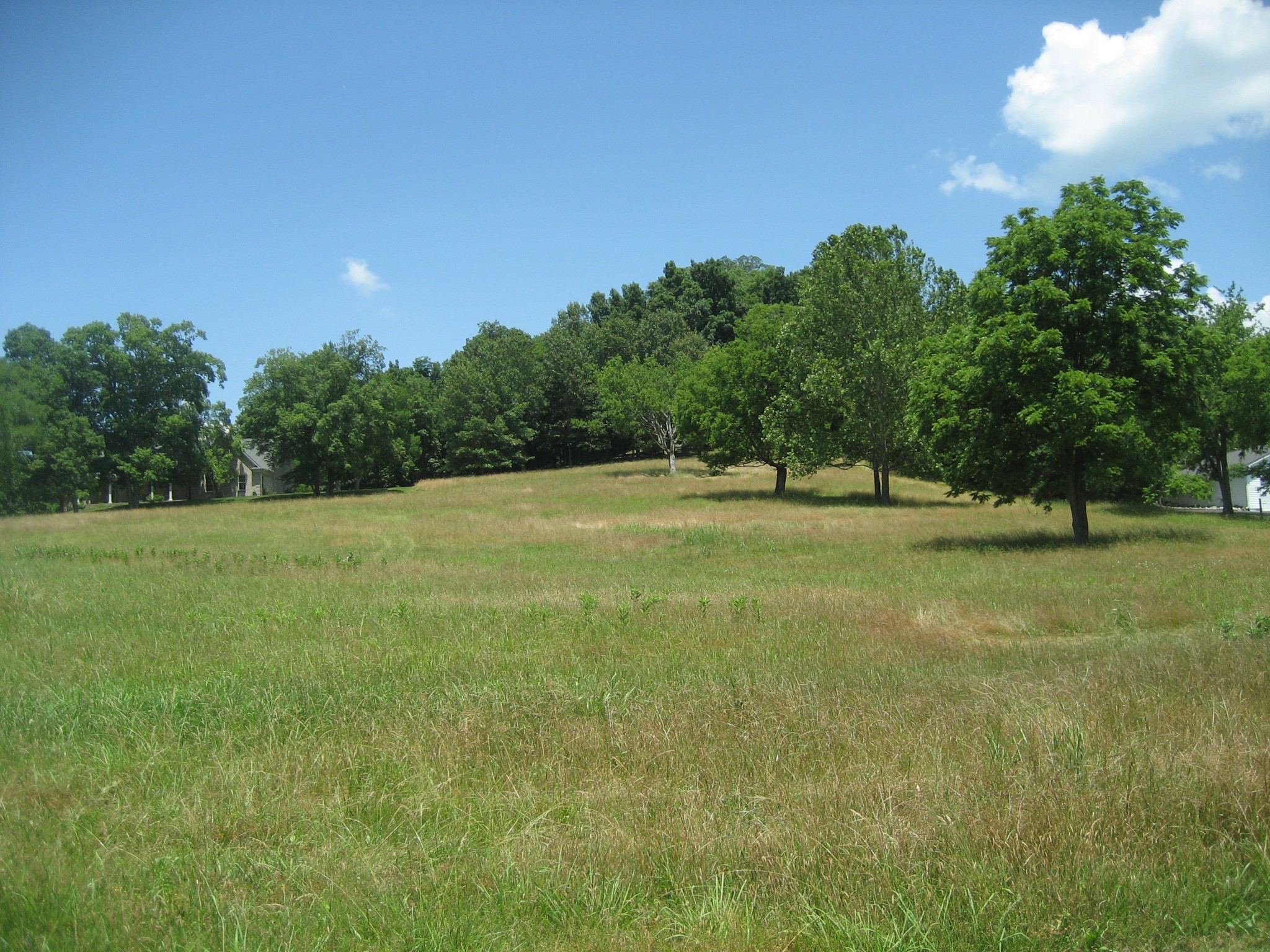 5194 Flat Creek Road Spring Hill, TN 37174 - Photo 1 of 2 a view of outdoor space with green field and trees all around