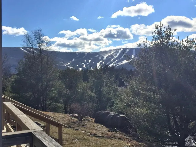a view of a very nice looking yard