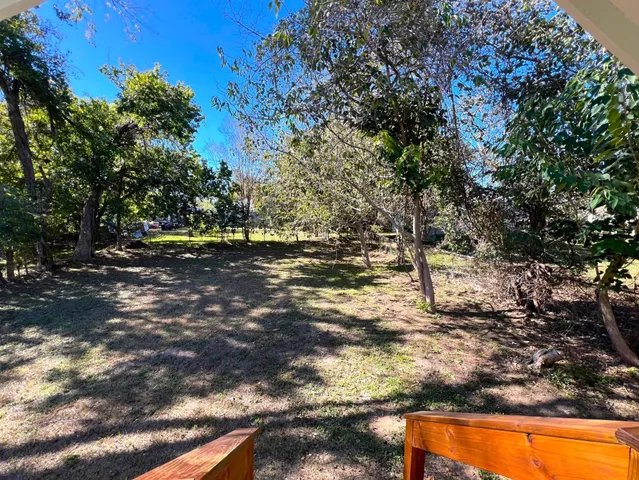 a view of yard with trees