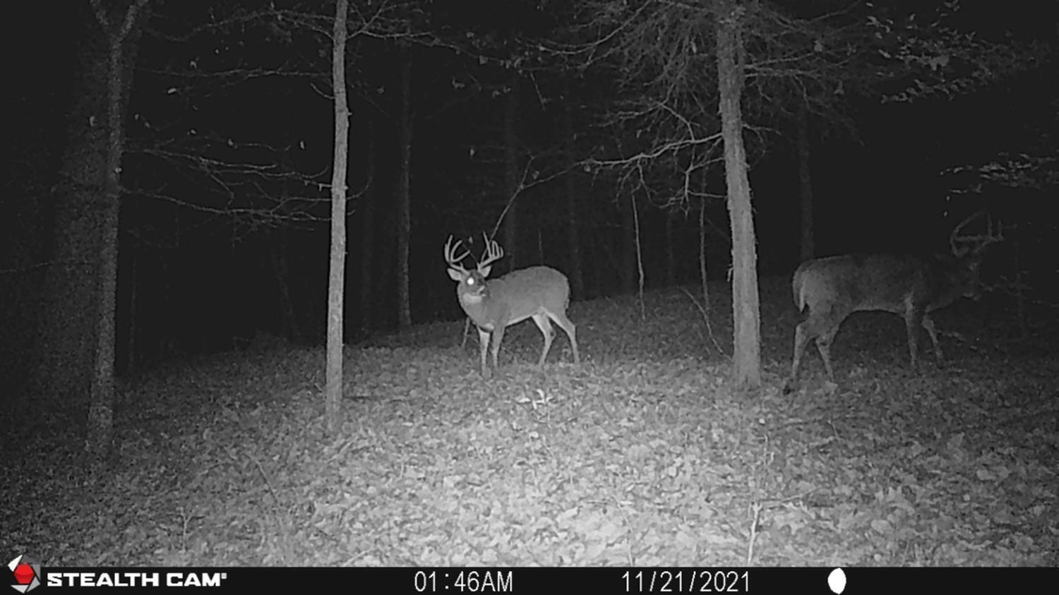 13491 Strait Creek Road Peebles, OH 45660 - Photo 26 of 28 Gallery Image 26