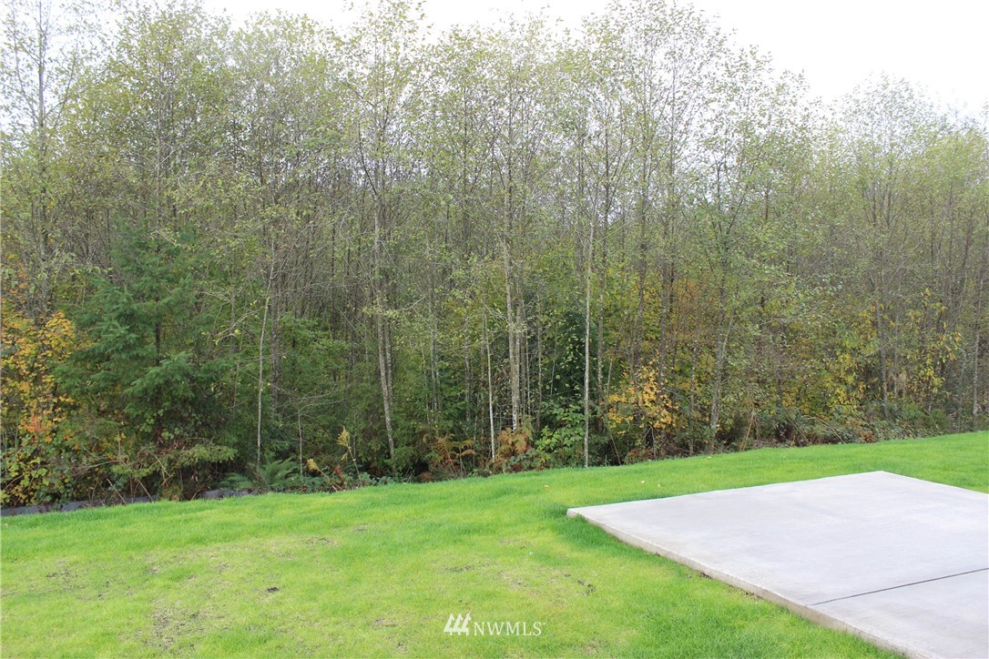 42 Ridgetop Lane Elma, WA 98541 - Photo 12 of 25 Gallery Image 12