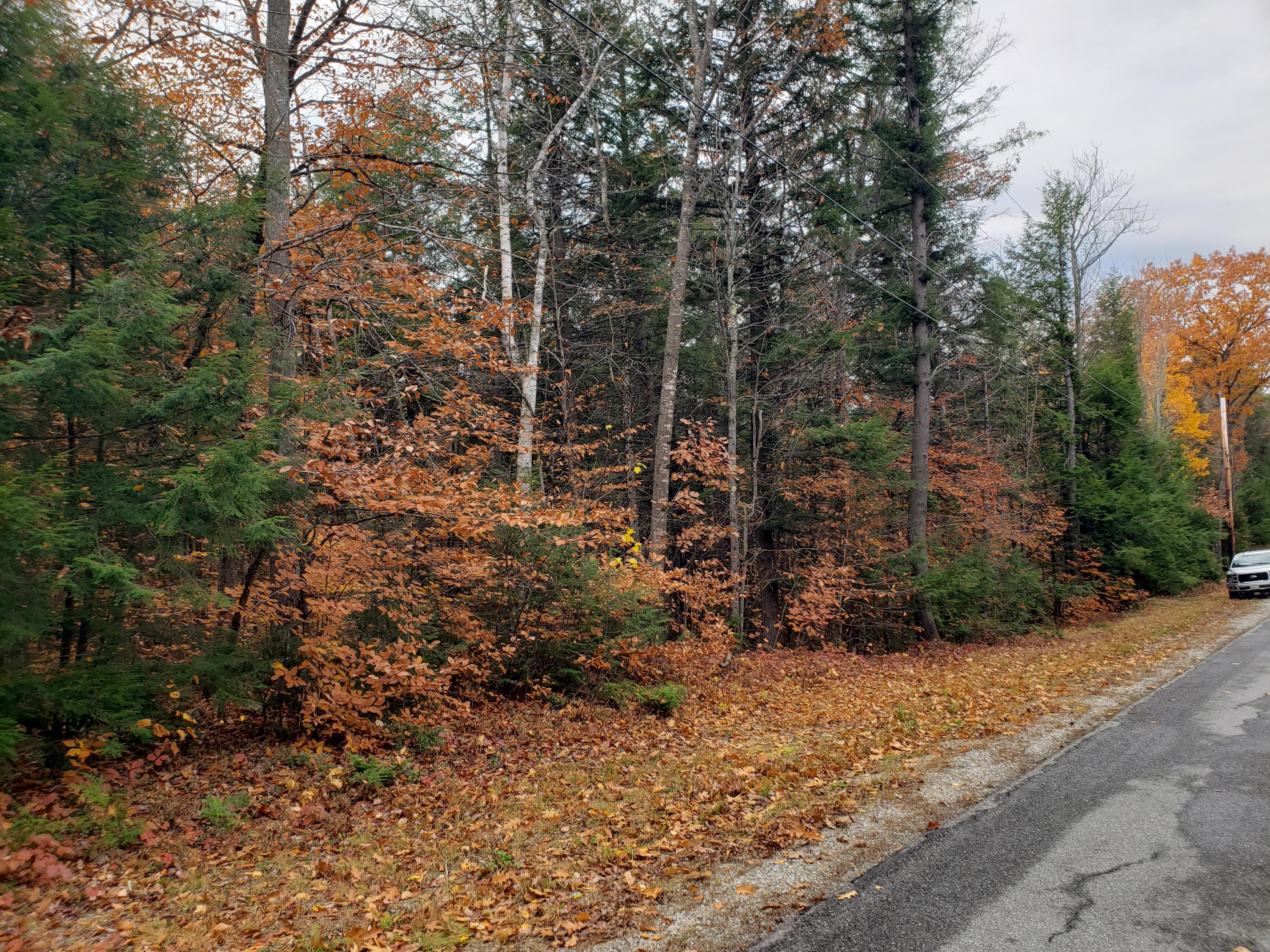 0 Macomber Hill Road Jay, ME 04239 - Photo 2 of 3 20201023_112139