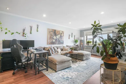 a living room with furniture and a potted plant