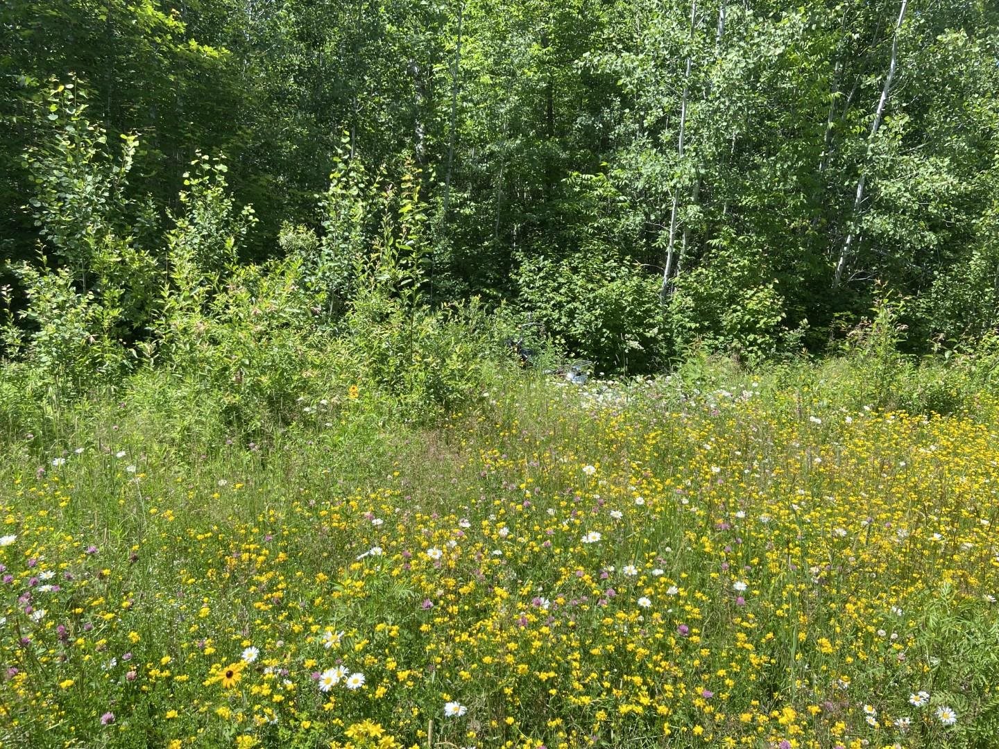 107 Wales Road Two Harbors, MN 55616 - Photo 12 of 16