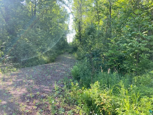 $90,000 | 107 Wales Road, Two Harbors, MN 55616